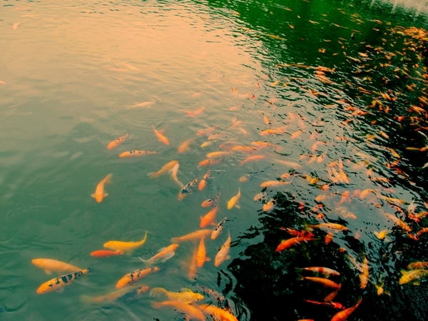 福州国家森林公园