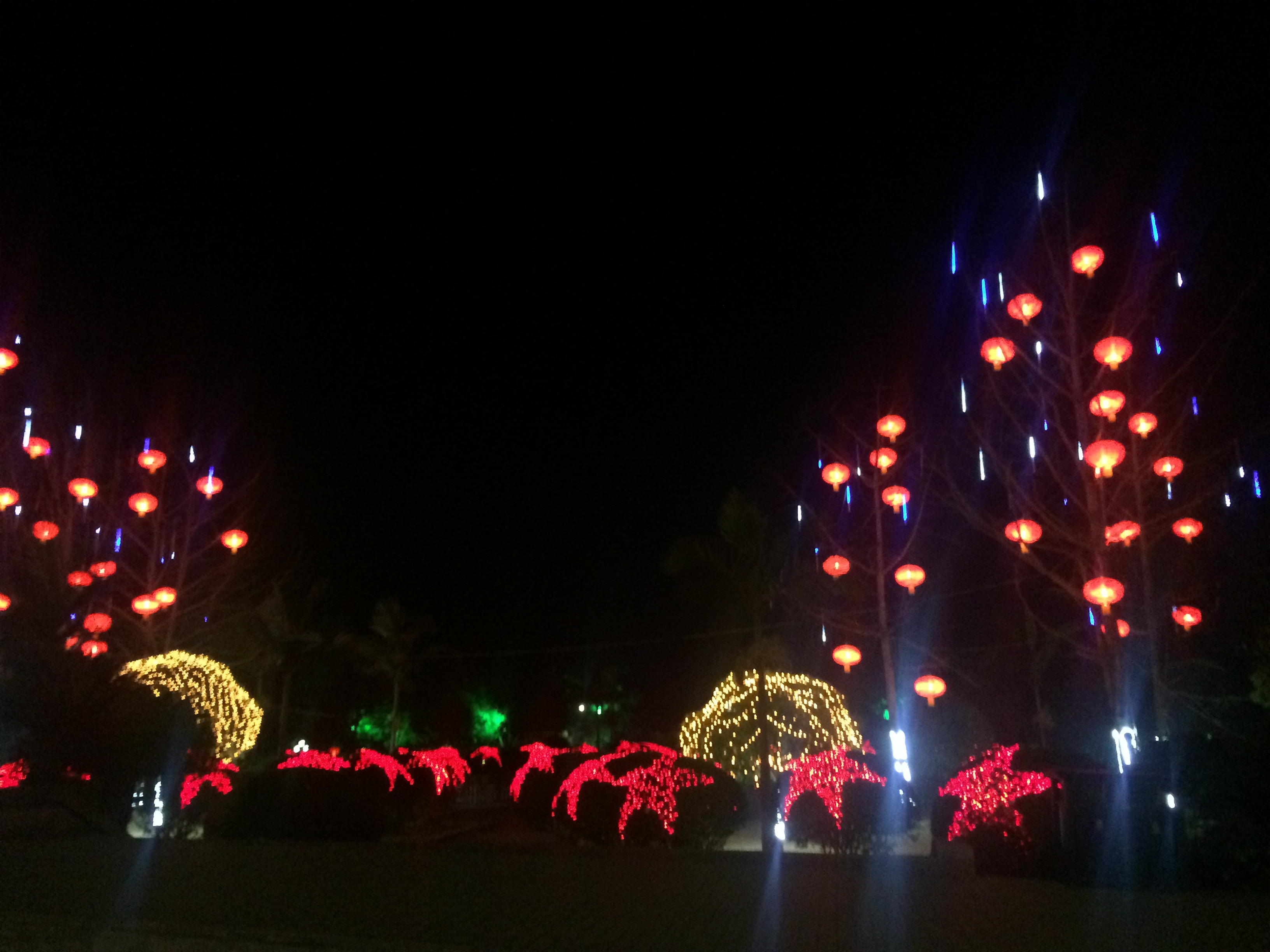 新年城市换新装，夜景一角