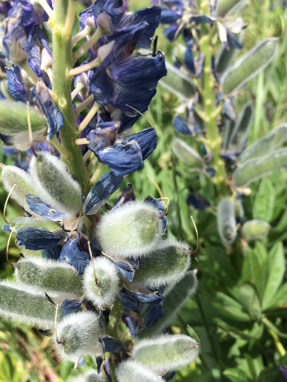 2015-12-12 072938.jpg