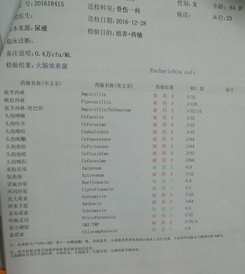 QQ图片20170107104258.jpg