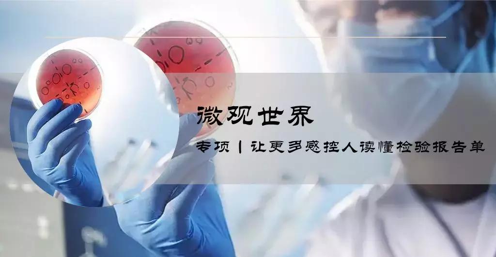 微观世界丨MSSA or MRSA，报告应该怎么报？